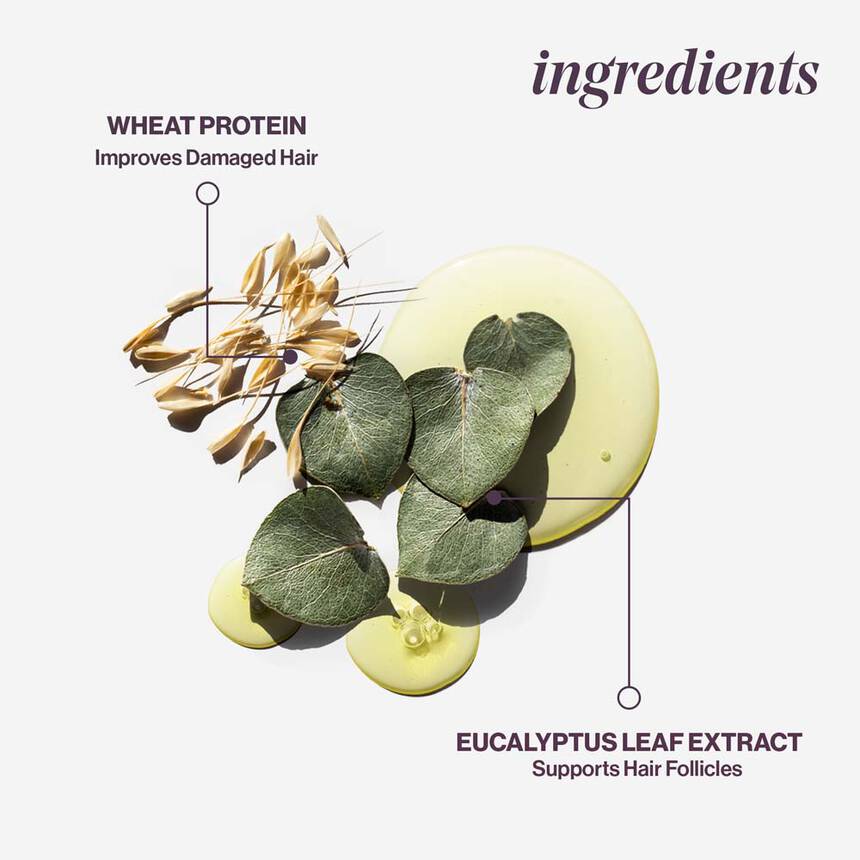 Hydrate Sheer Conditioner